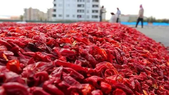 High Quality Roasted Chili Pepper (Isot - Urfa Chili)