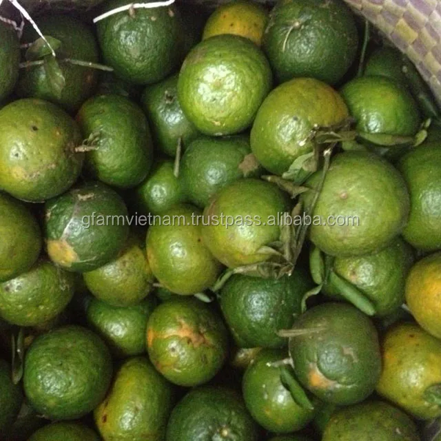 
Fresh orange with high quality and taste sweet, succulent 