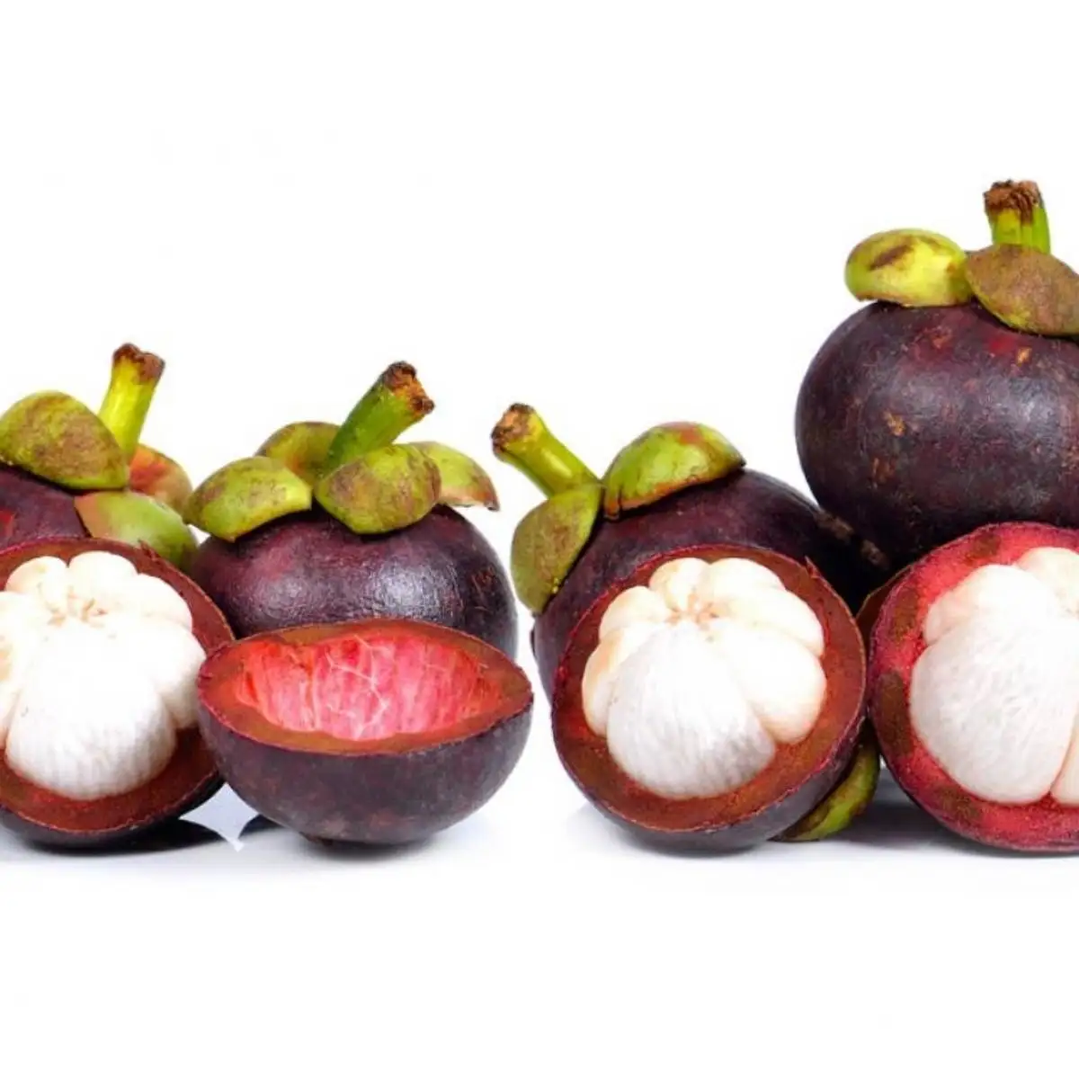 
AD Fresh Mangosteen frozen freeze dried paste Snack fruits Product of thailand by Zain Brand 