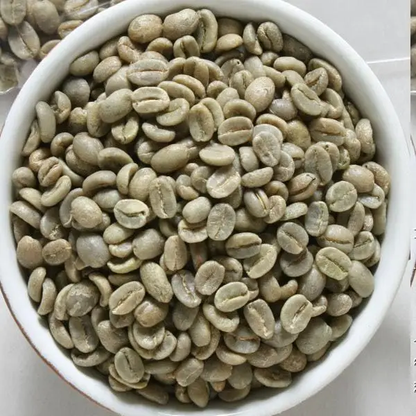  Robusta вишня AB зеленые кофейные зерна Неочищенный экран 15 дюймов от цветовой