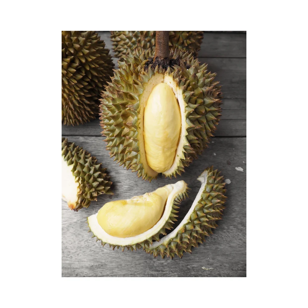 Thailand Monthong ACE Durian Tropical AAA OEM Style Weight Origin  Grade Product Fresh cut Fruit Place Model HACCP Accepted