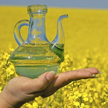 Cheap Unique Premium Bulk Canola Oil Prices And Canola Oil Wholesale Ukraine Oil Rapeseed now available for  world wide market