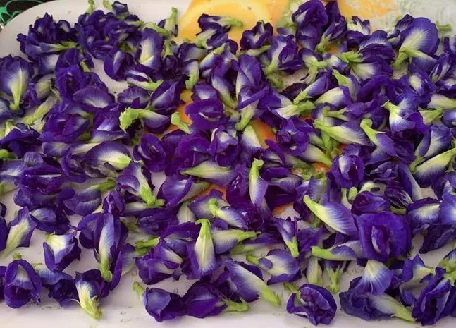 Сушеный чай с бабочками сушеный Прямая поставка качественный синий органический стандарт натуральный вьетнамский цветок