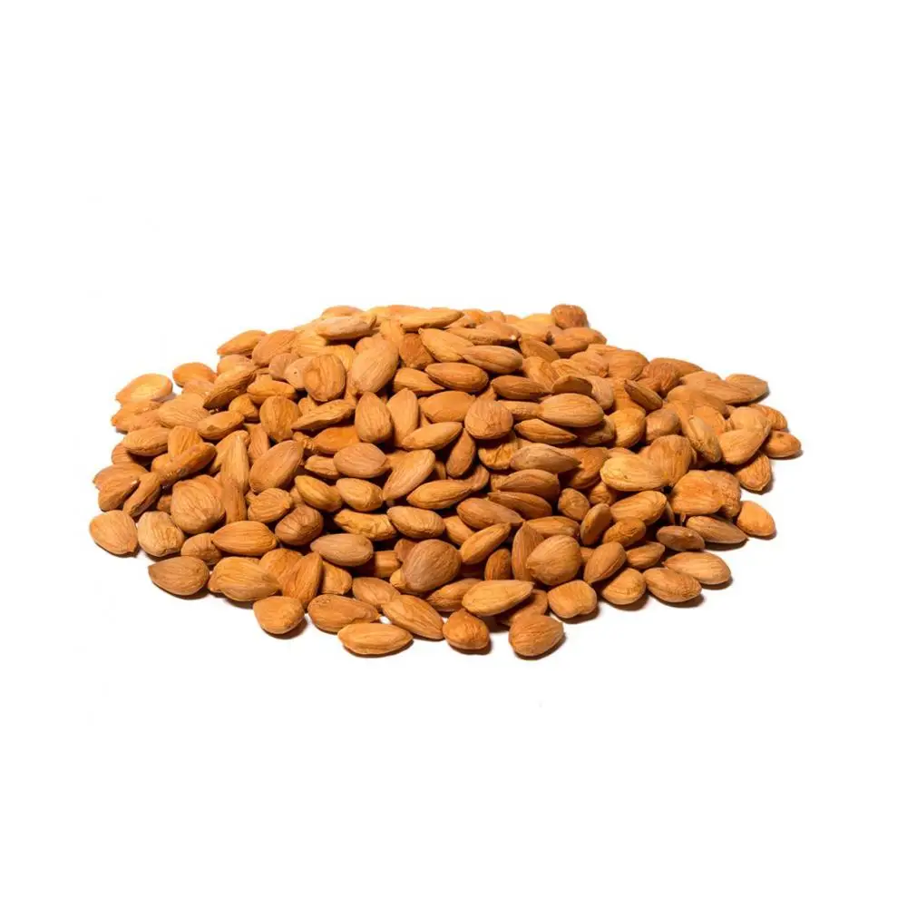 Superior Quality Organic Wholesale Bitter Apricot Kernels/ Apricot Nuts Supplier