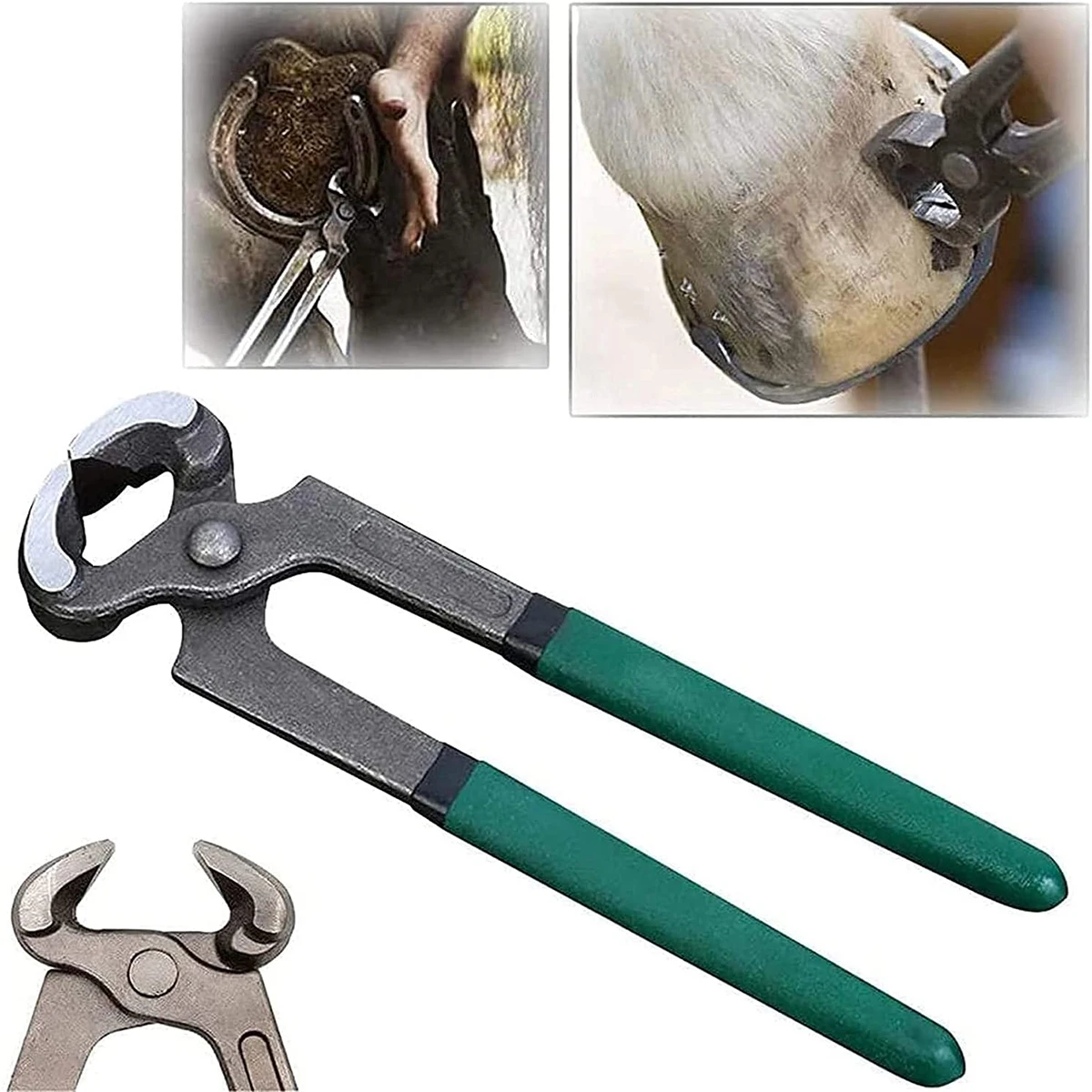 Horses Hoof Trimmers Tools,Rasp Hoof Cutter Set,Suitable for Hoof Trimming for Instruments