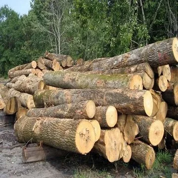 Деревянные бревна из сосны и