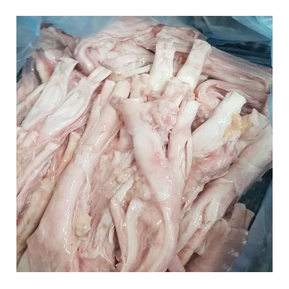 Cheapest Price Frozen Fresh / Dried Beef Tendon , Frozen Beef Meat Available Here For selling in Bulk