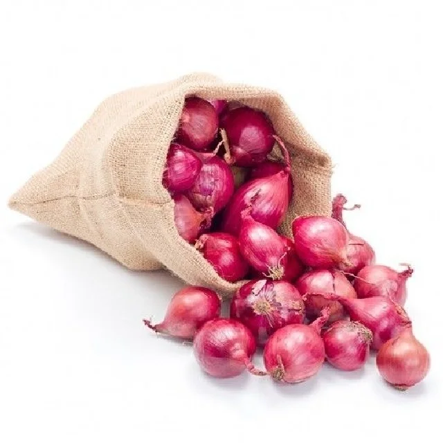 Vegetable SMALL ONION Organic Factory Supply Fresh onions wholesalers other fresh vegetables