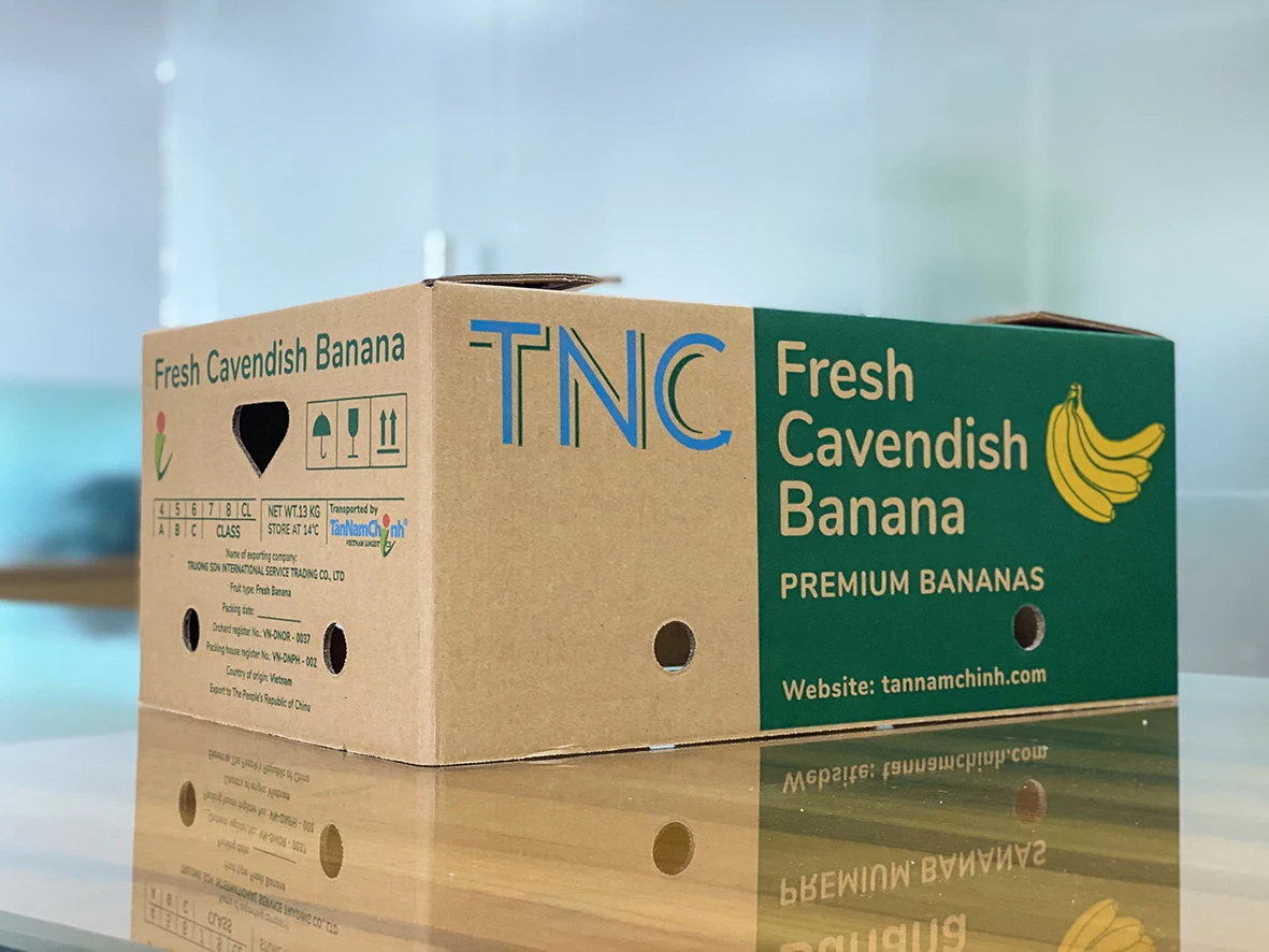  Высокое качество с сертификацией GlobalGap Зеленый Кавендиш банан экспортируется Вьетнамом