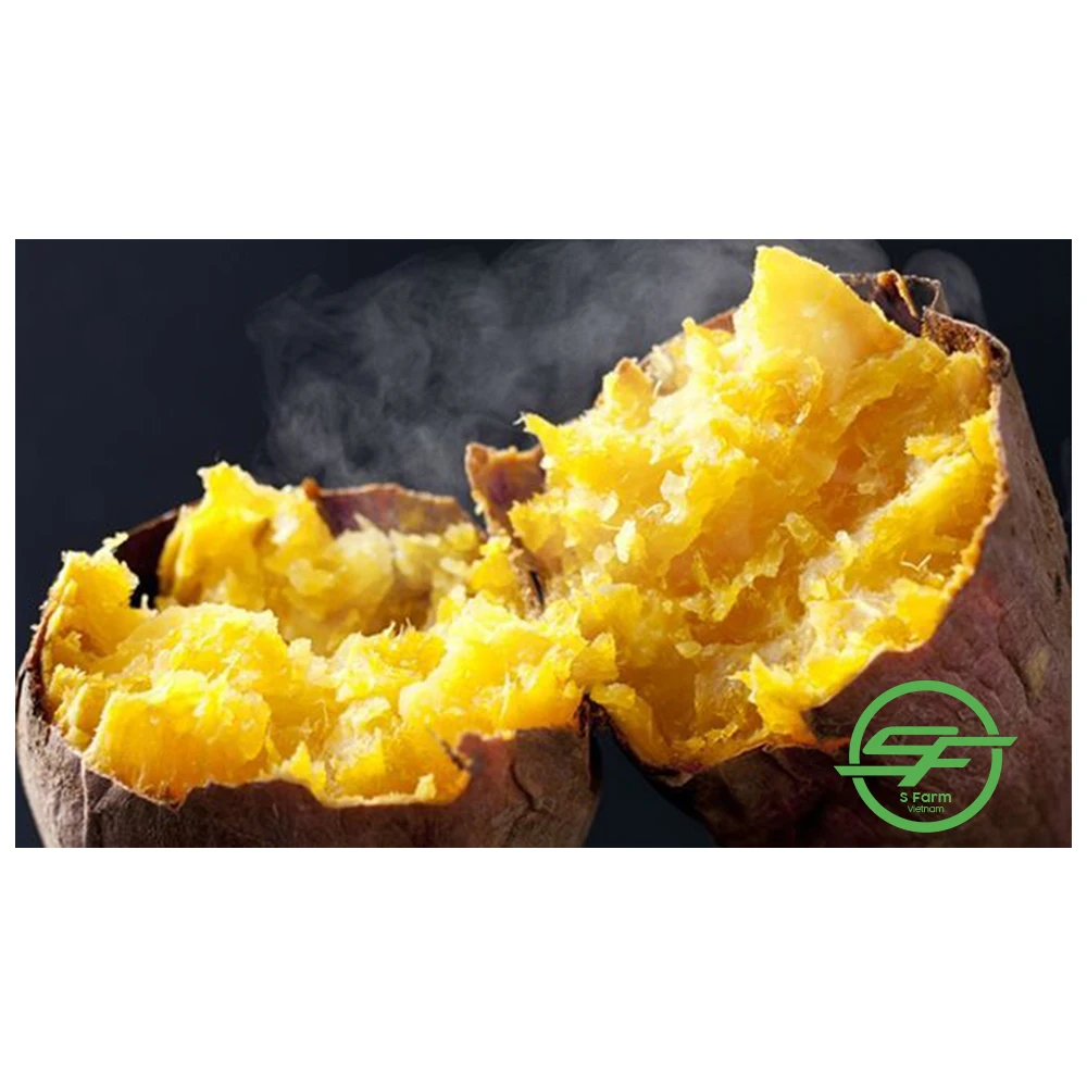 Fresh Potato - 100% Maturity Newest Crop Purple Sweet Potato- 10kg with best price from Vietnam