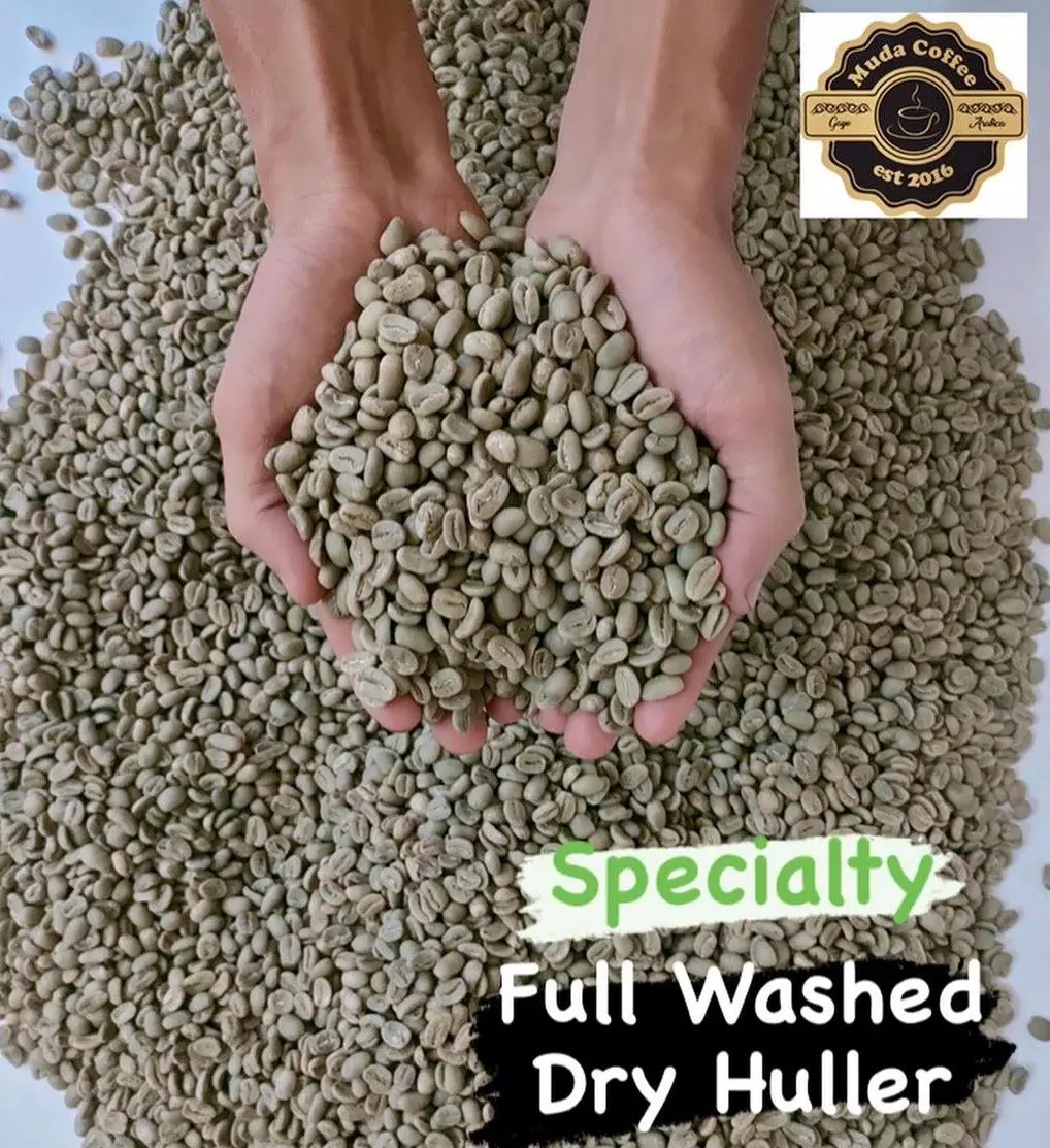 ARABICA GREEN BEAN COFFEE ACEH INDONESIA BEST QUALITY SPECIALTY FULL WASH DRY HULLER