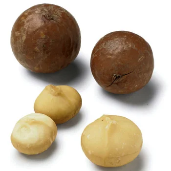 
Macadamia nuts  (1600119267496)