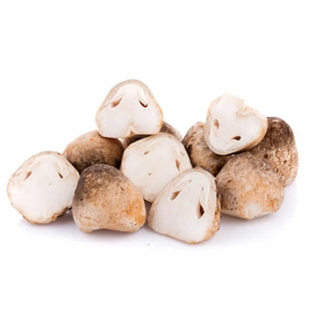 
Fresh Mushroom Farm Volvariella Volvacea 