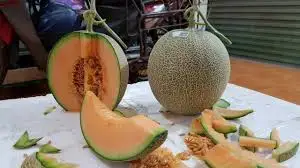 Высококачественная вьетнамская канталупа/Whatsapp: + 84 896679047