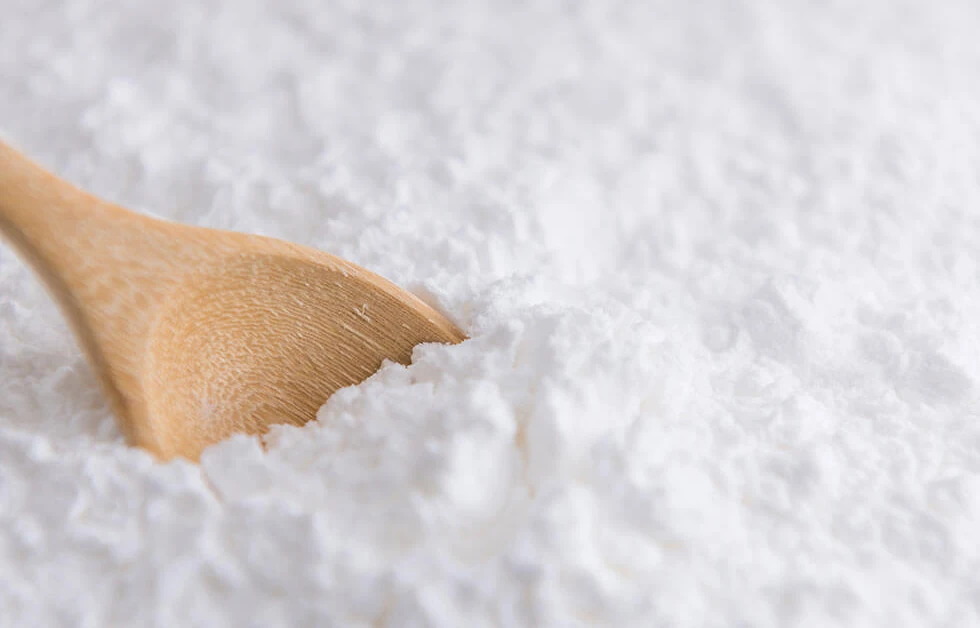 PREGELATINIZED POWDER - THE BENEFICIAL PRODUCT FOR DIVERSE APPLICATIONS
