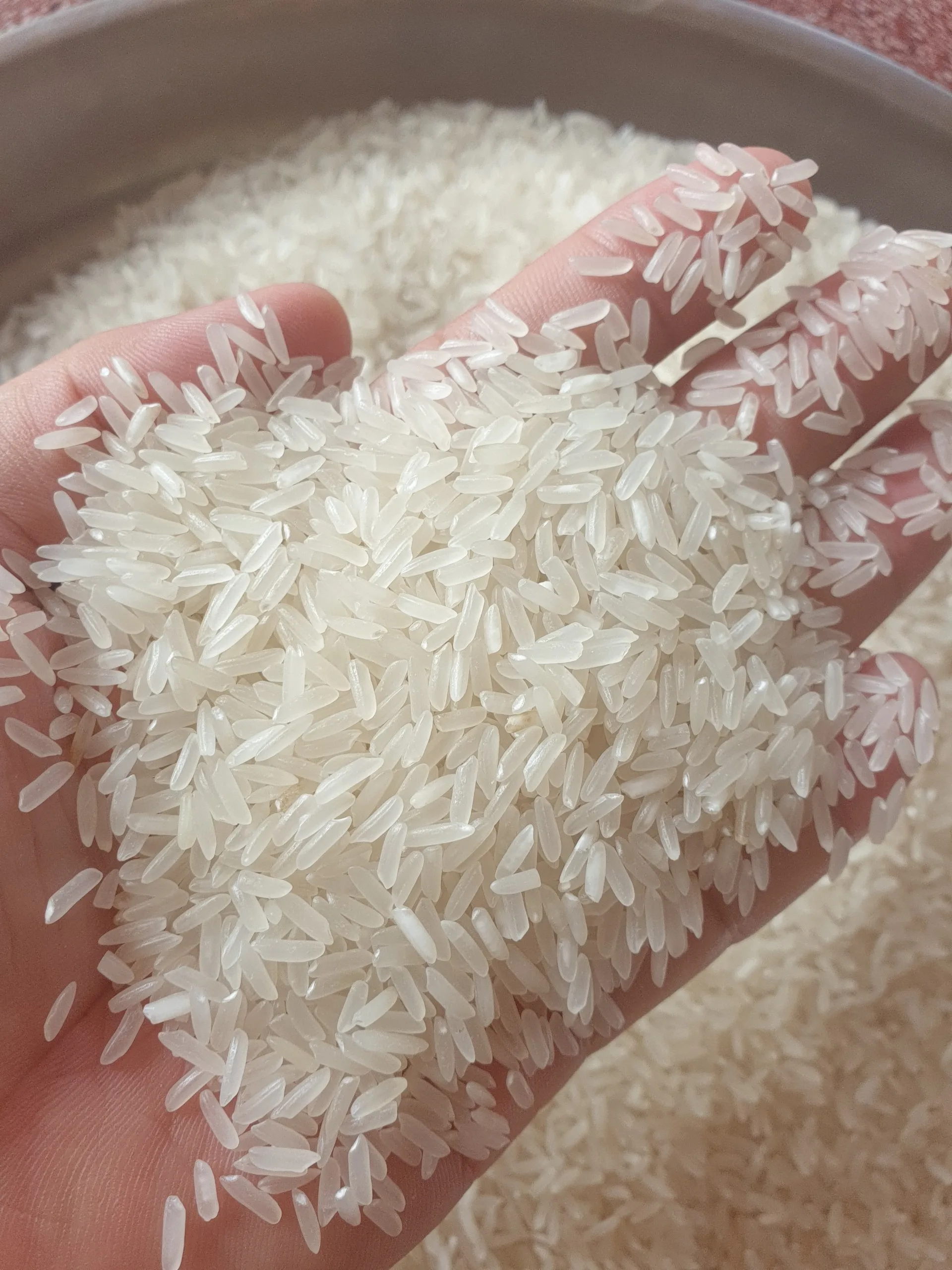 Made In Viet Nam Dried Style High Quality Top Sale Product In 2021 Special Long Grain White Rice