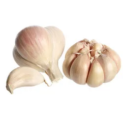 Fresh natural white garlic/ 2022 Harvest/ Top quality garlic/