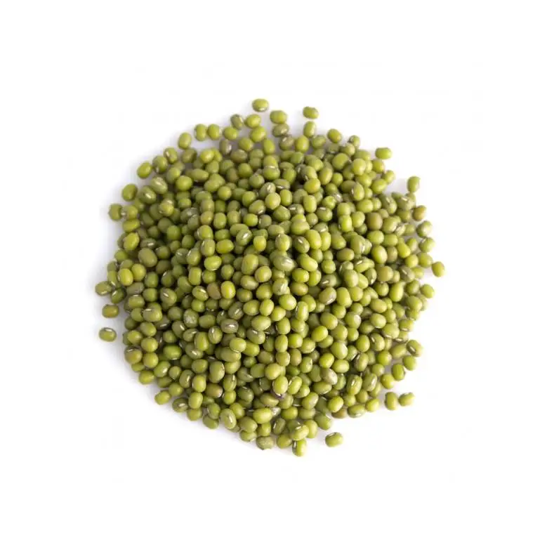 Vigna Green Mung Beans From Uzbekistan