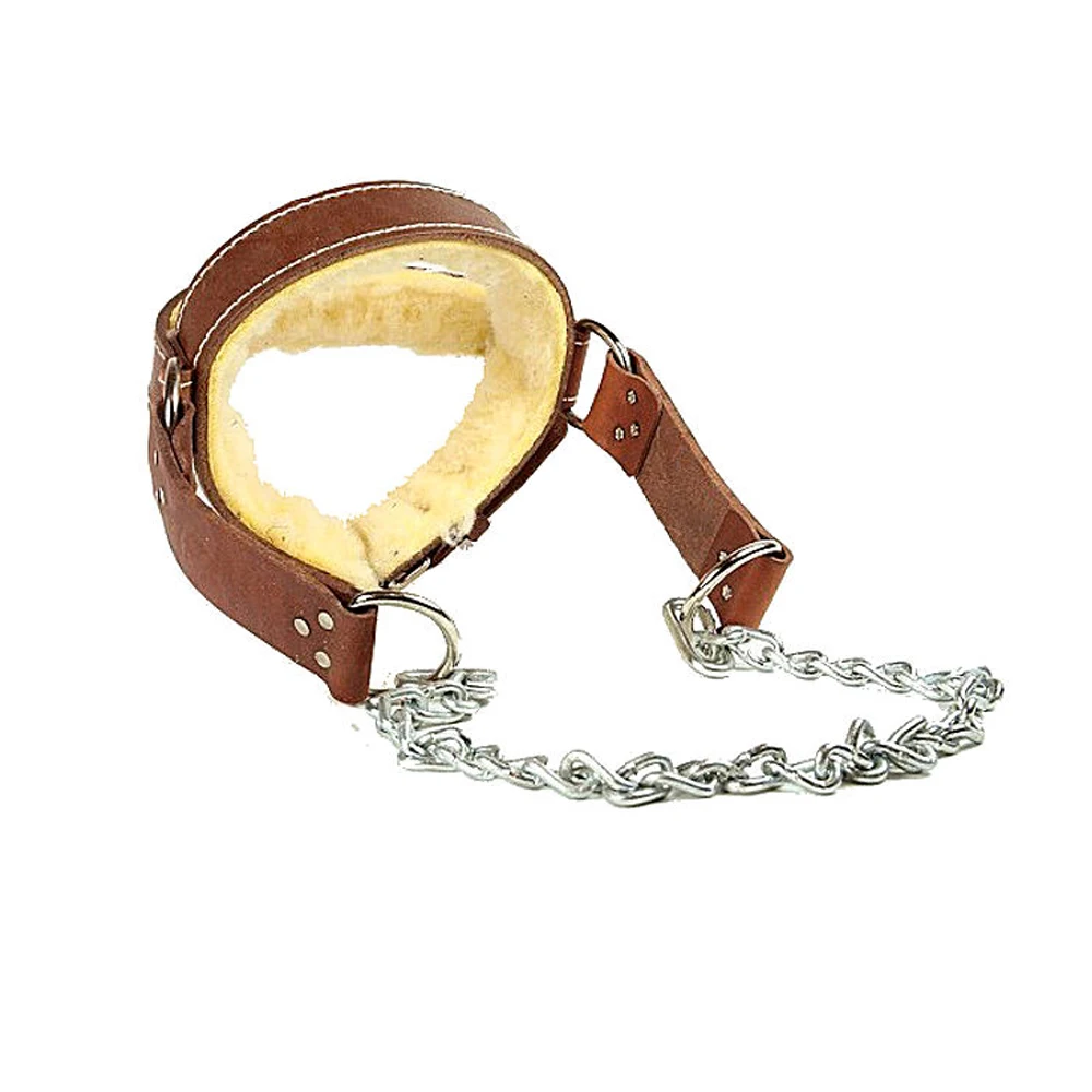 Factory Price Head Harness Neck Trainer Weightlifting Gym Heavy Body Workout Head Harness For Men And Women