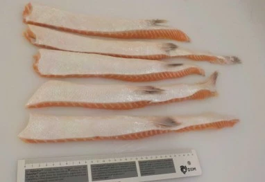 Оптовая продажа белки лосося кишки замороженной рыбы