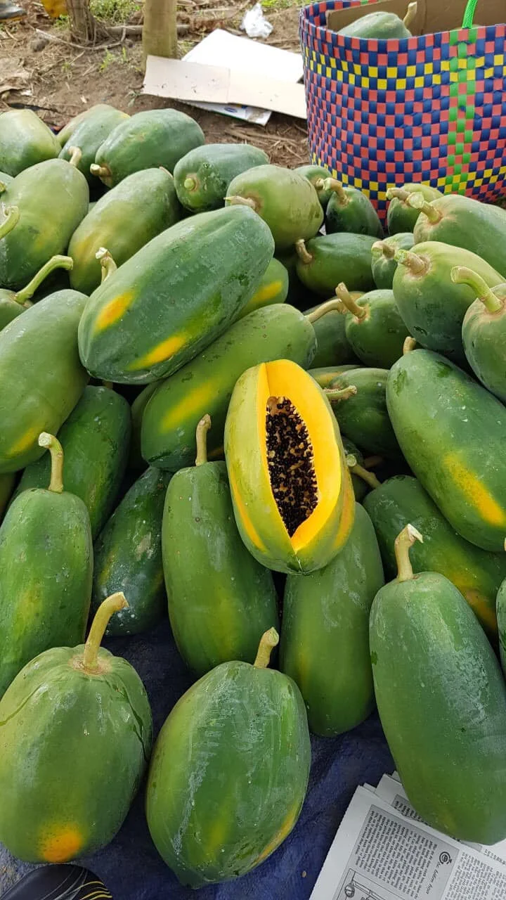 
Buy Good Taste Hot Selling Fresh Quality Papayas for Wholesale Purchase cheap price 