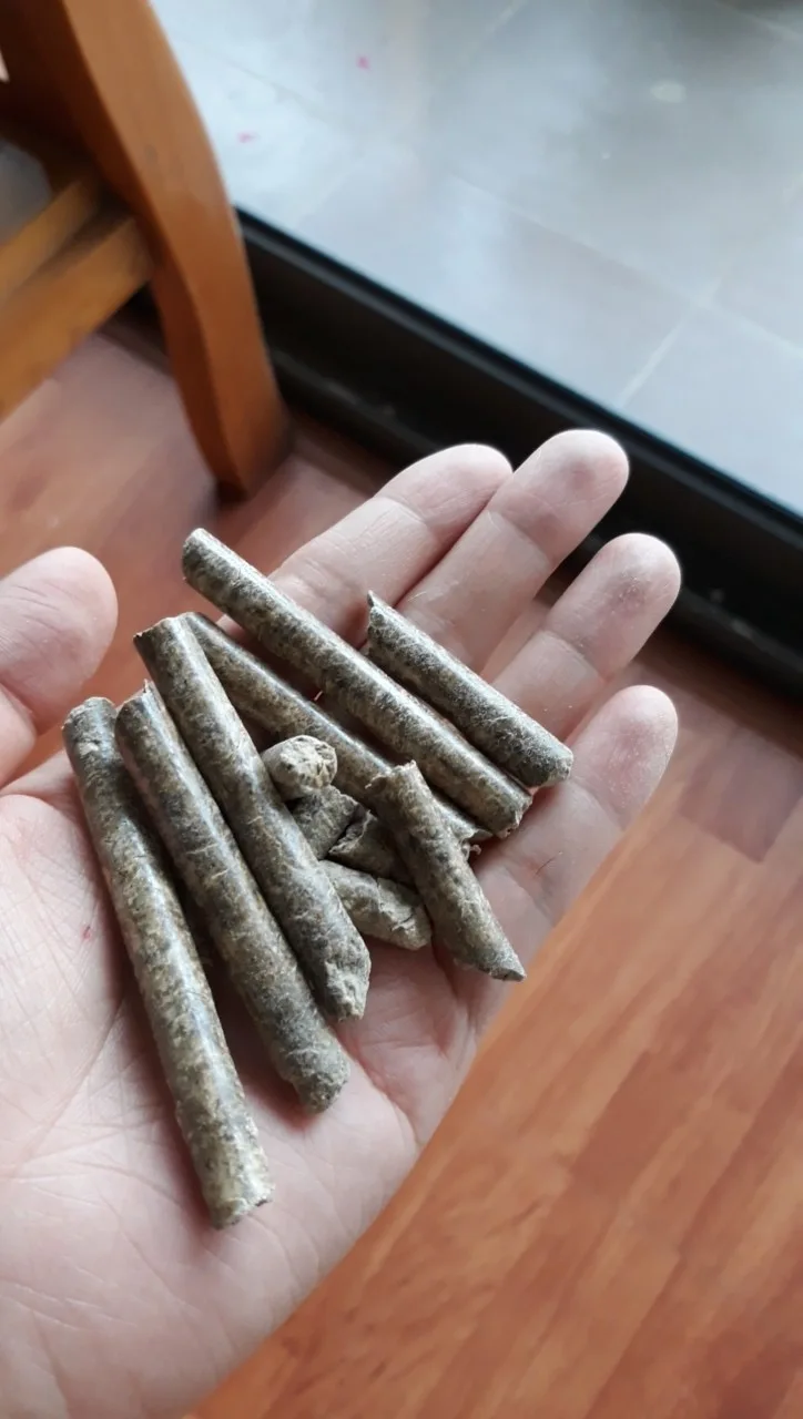 Лучшая цена сухая кукуруза оптовая продажа высококачественные кормовые гранулы кукурузы jumbo // Lina + 84 896 625 614