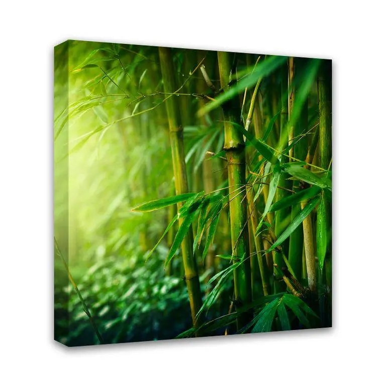 
A041 - Big photo painting on canvas 