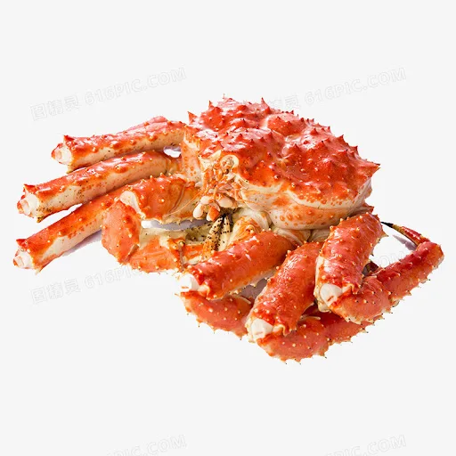 
Snow Crab Antarctica / Deep Sea Crab/ Baby King Crab. WE ARE PRODUCERS !!! 