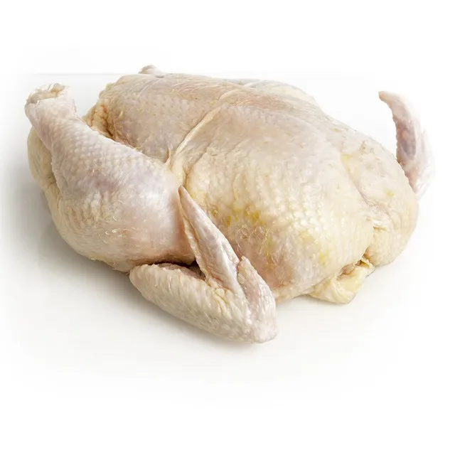 High Quality Product Cheap GAP ISO HALAL Certification Frozen Chicken in Bulk Food Grade Frozen Chicken Legs from Uzbekistan