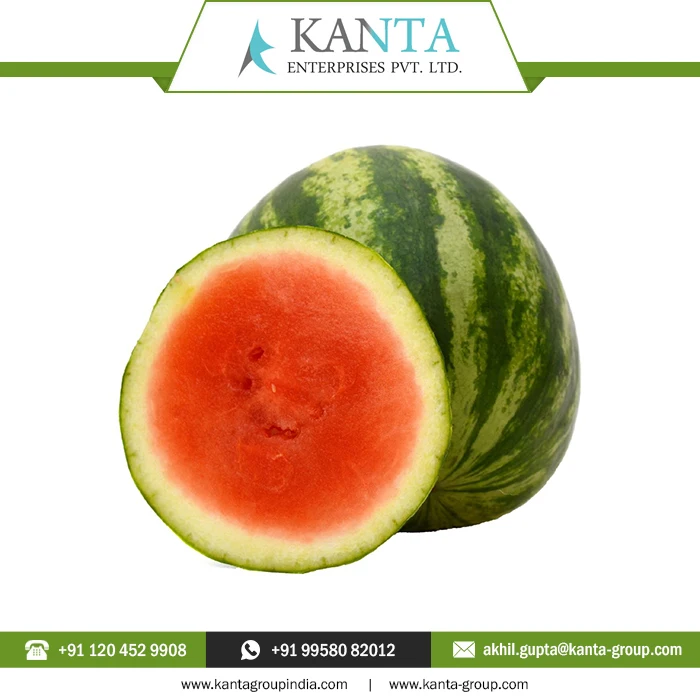 Buy Online Watermelon Essential Oil used in cosmetics as an emollient and lubricant with Low MOQ