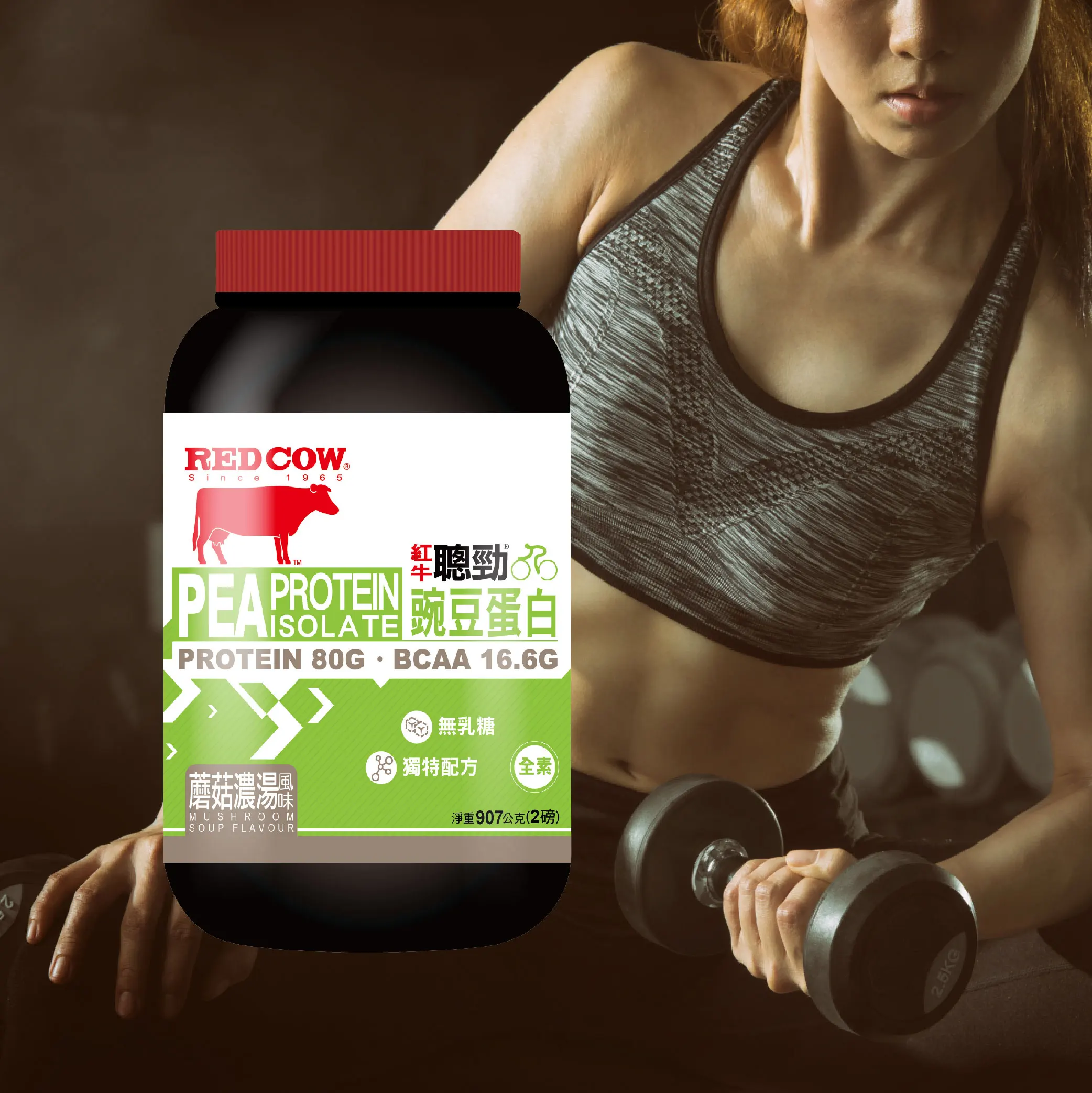  Белок гороха ароматизатор грибного супа 2 фунта