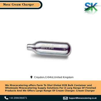 Hot selling reliability manufactured security product and very durable Gas charger