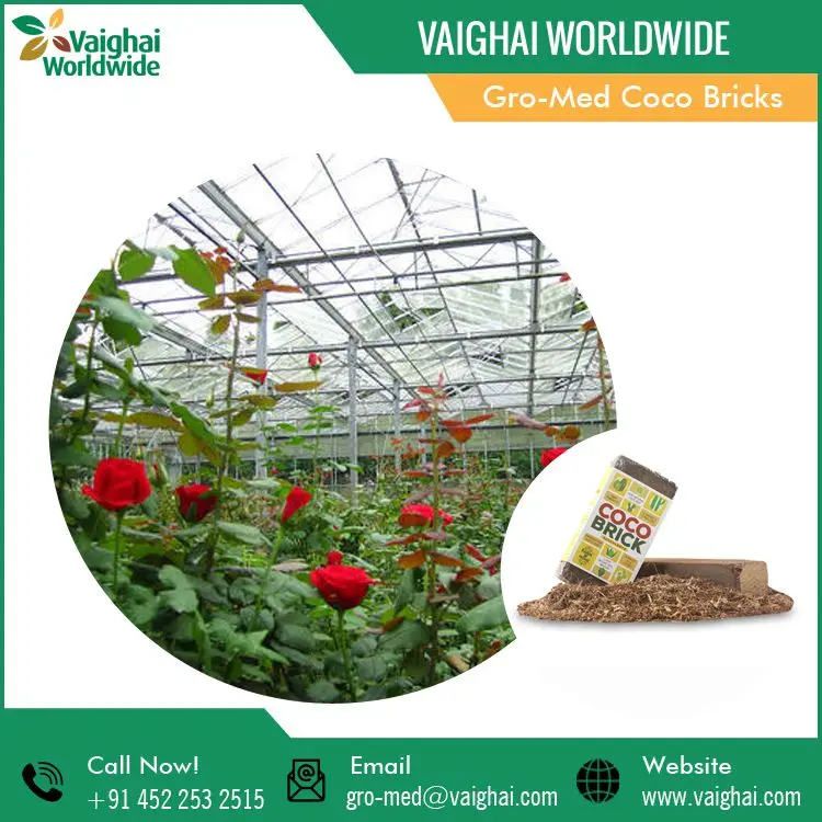 100% Natural Eco Friendly Bulk Coco Bricks Coir Peat from Reputed Seller