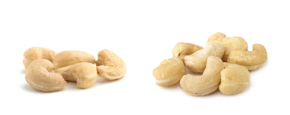 [New Season] Delicious Taste Best Price High Grade Quality WW240 WW320 Cashew Nut From Vietnam