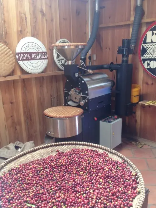 Кофейные зерна Арабика класса 1 красно-коричневого цвета, сертифицированный продукт без фермента, срок годности 12 месяцев, OEM ODM