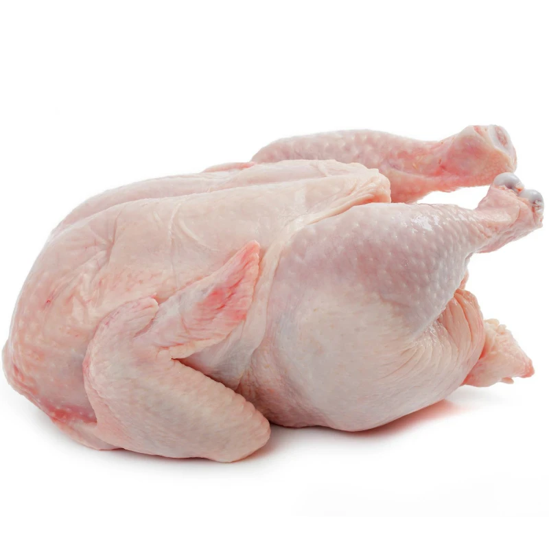 
New stock Halal whole frozen chicken 
