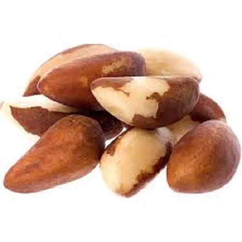 Top Quality Brazil Nut