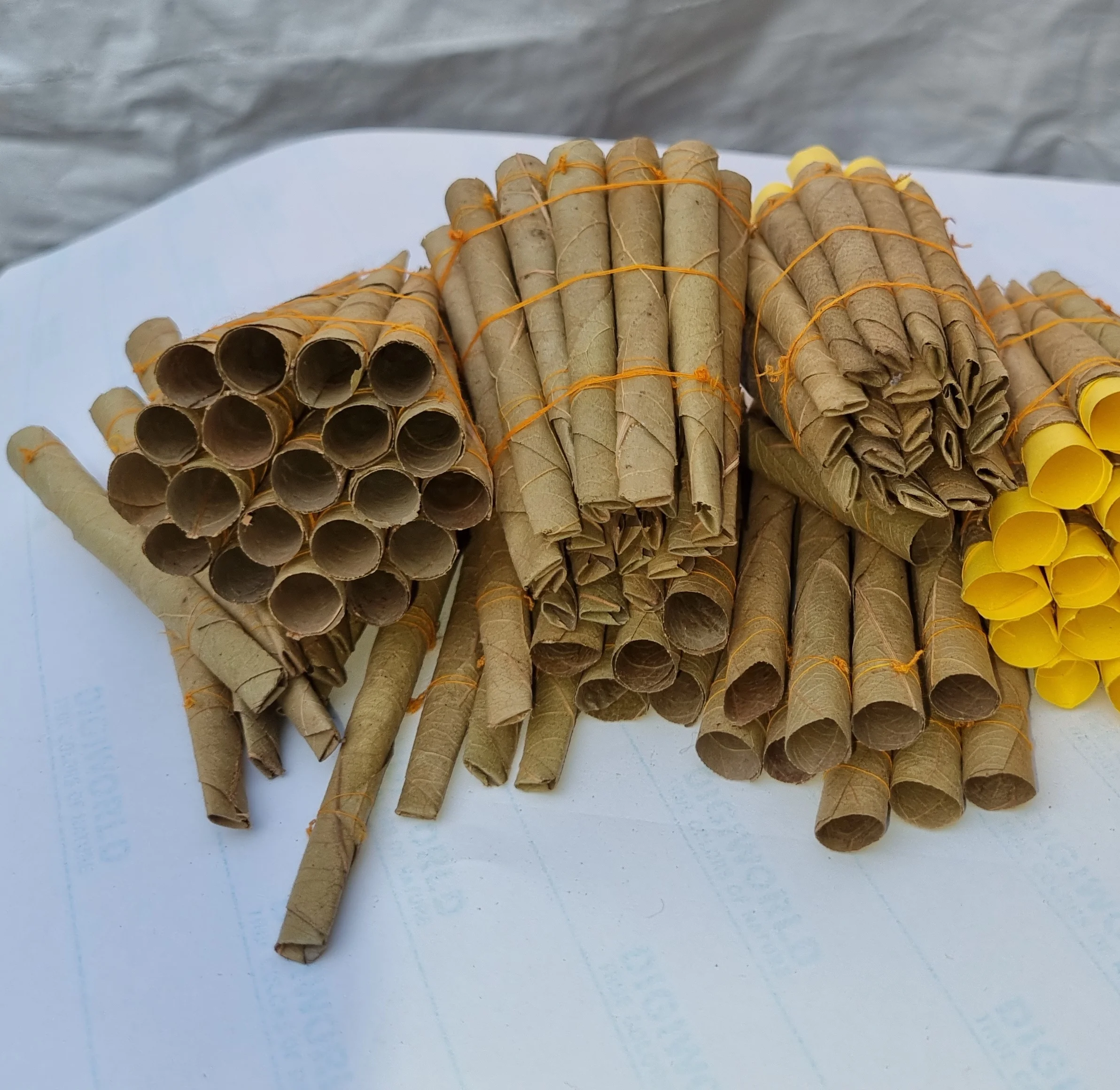 Неотфильтрованные предварительно свернутые листья и конусы Tendu или Coromandel, OEM предварительно свернутые листовые конусы tendu всех размеров 88 мм и 110 мм