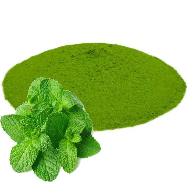 Premium Quality blue mint flavor tooth paste powder for Immunity Booster from India