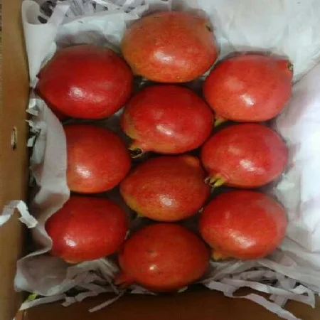 Свежий гранат