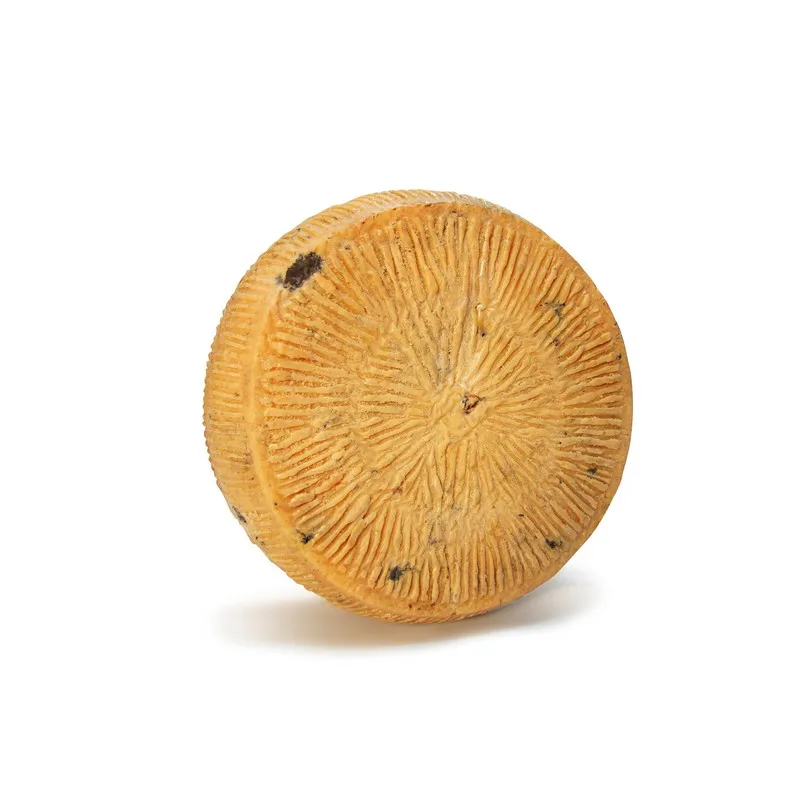High Quality Italian SEASONED TRUFFLE hard cheese with truffle flavor 6kg vacuum pack for export