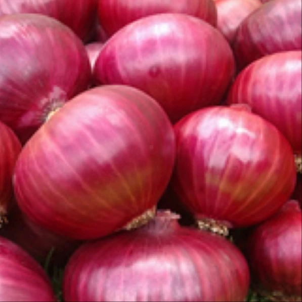 Farm Fresh Vegetable Thailand Red Onion