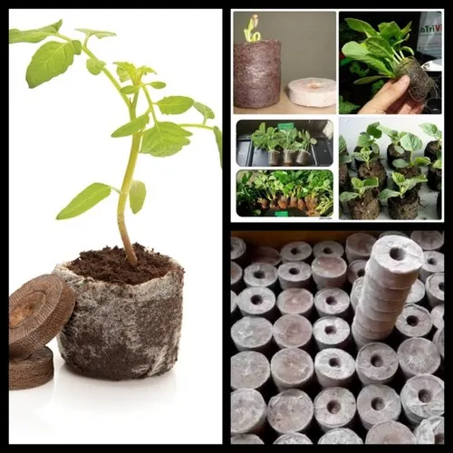  Натуральный кокосовый горшок для сада и дома гигантский сад из Вьетнама + 84 966722357