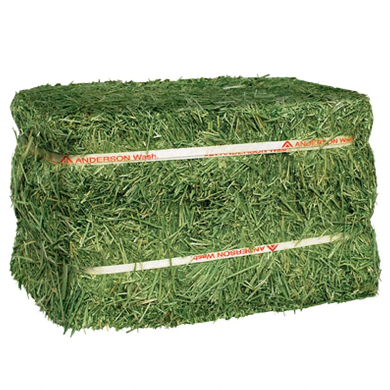 Super Top Quality Alfafa Hay for Animal Feeding Stuff Alfalfa / Timothy / Alfalfa Hay for Sale