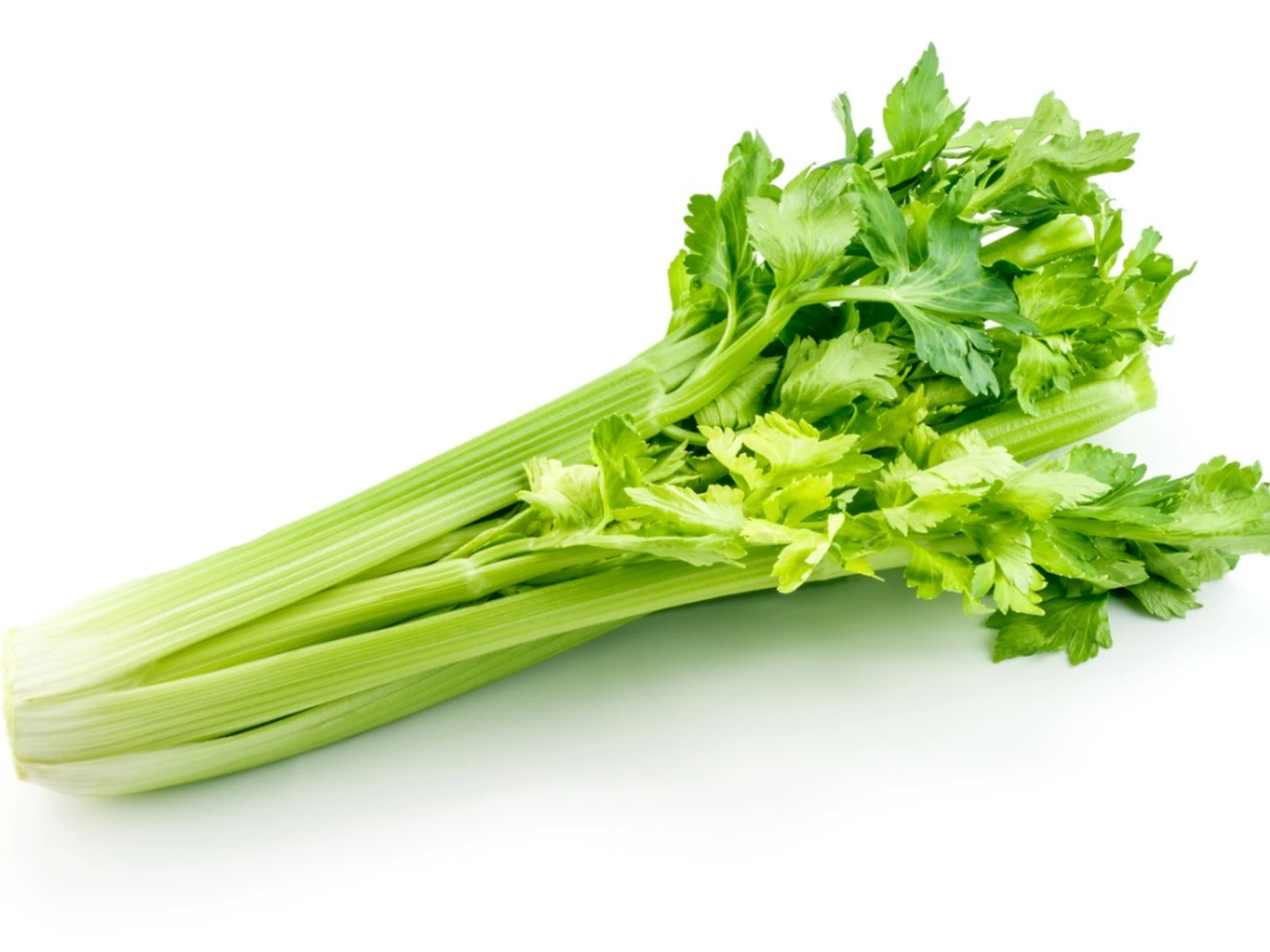 Fresh Celery