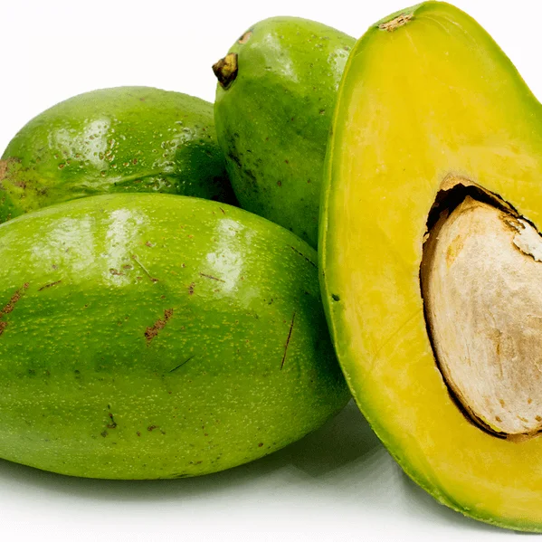 
FRESH AVOCADO VIETNAM NEWEST CROP 2021 