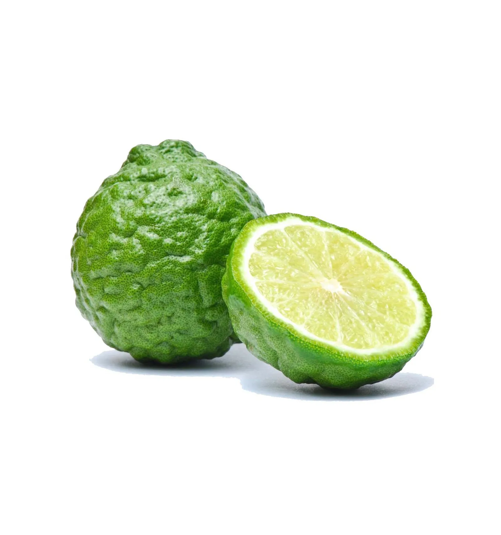 
TOP GRADE EXPORT QUALITY INDONESIA FRESH KAFFIR LIME CITRUS HYSTRIX FOR EXPORT 
