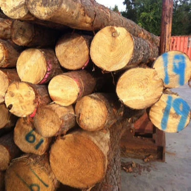 Southern Yellow Pine Logs