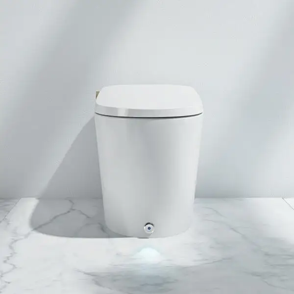 Wholesale Toilets DC70  Automatic Ceramic Bathroom sanitary ware Smart Intelligent Tolet Flushing