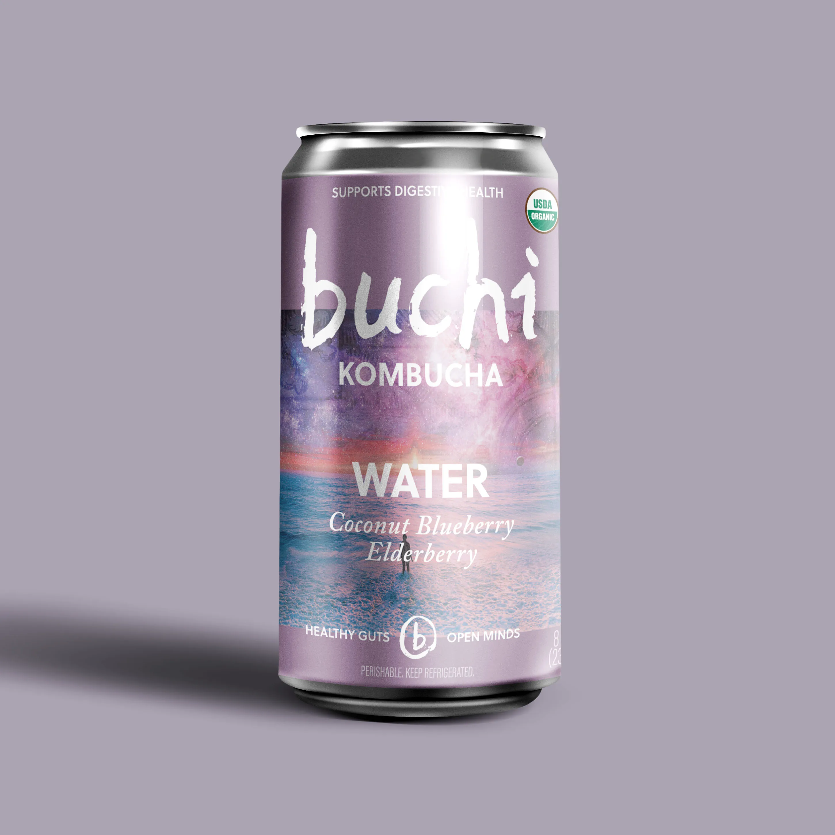 Buchi Kombucha 12/8oz Water Coconut Blueberry Elderberry Organic Kombucha Can Premium Quality